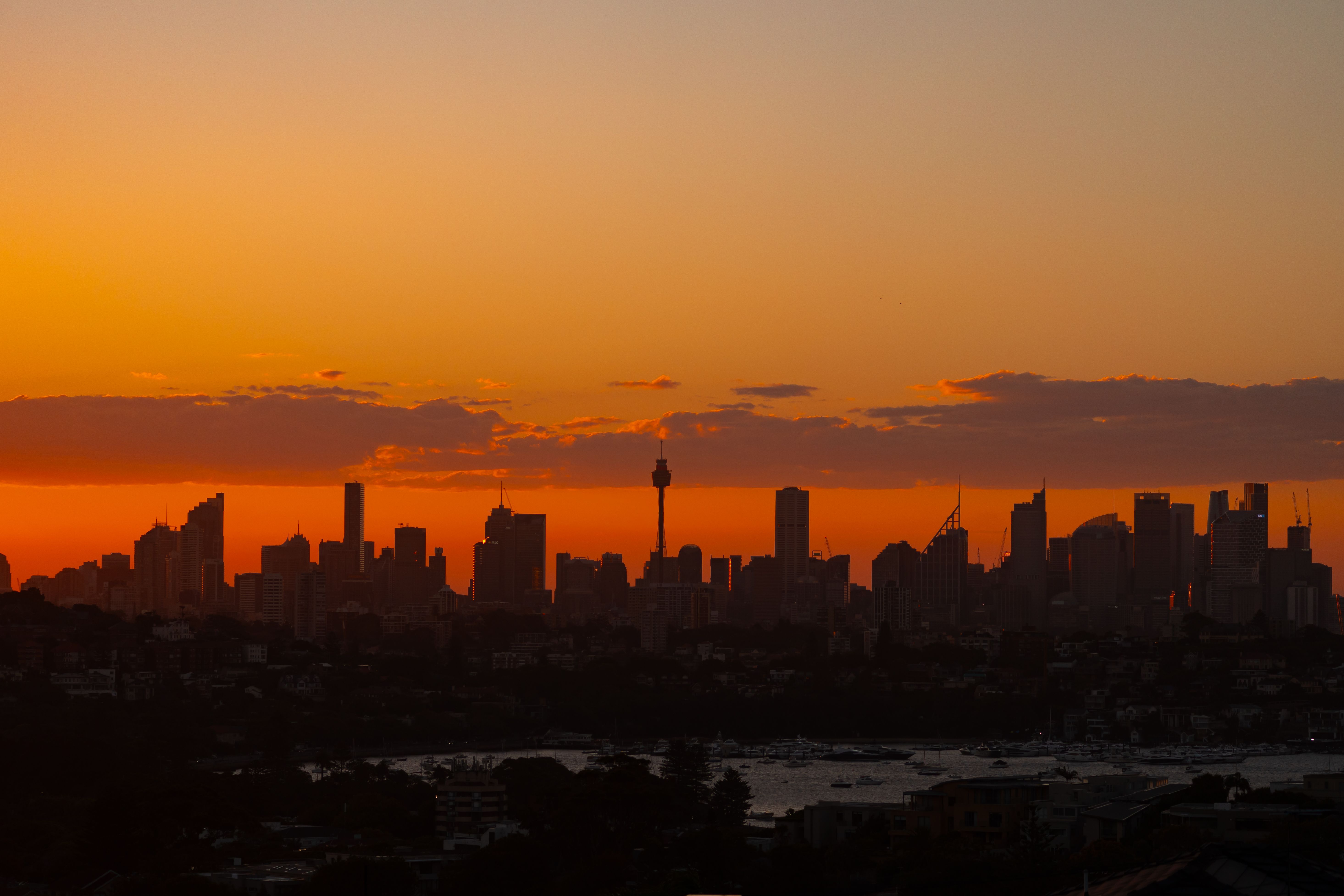 Sydney city skyline silhouetted at sunset